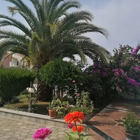 Apartament In Fazana/istrien 8679 *